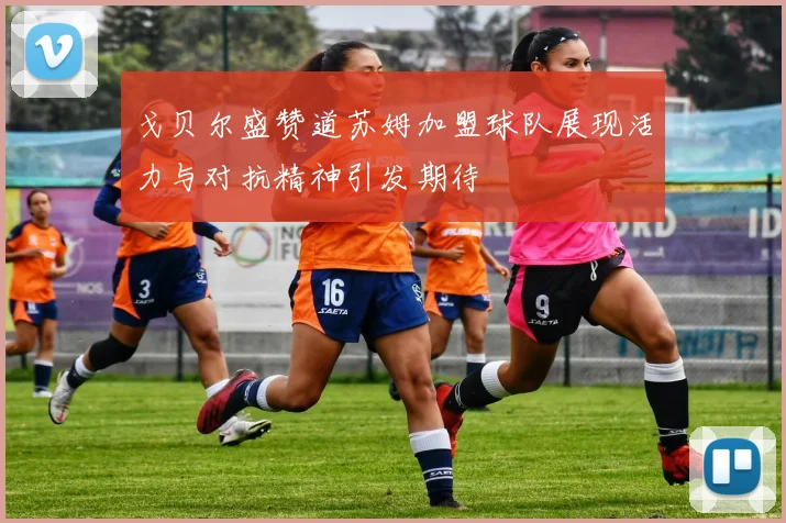 戈贝尔盛赞道苏姆加盟球队展现活力与对抗精神引发期待