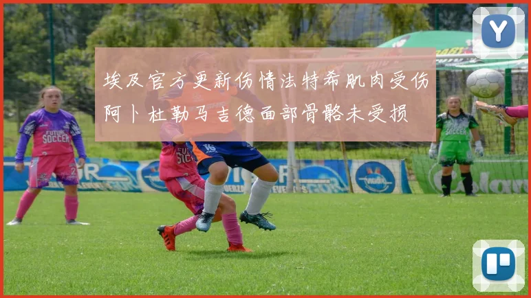 埃及官方更新伤情法特希肌肉受伤阿卜杜勒马吉德面部骨骼未受损